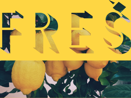 FRES web design