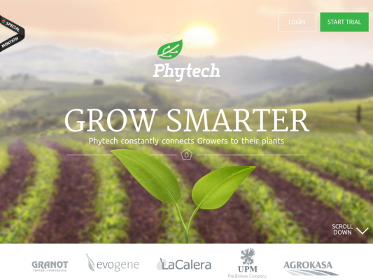 Phytech web design