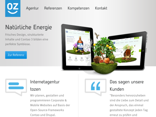 tozen web design